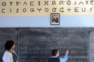 فعاليات تشكك في أرقام وزارة التربية الوطنية بشأن نسبة تدريس الأمازيغية