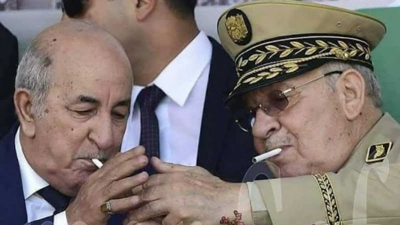 جزائري يفضح نظام الكابرانات.. أموال طائلة تُهدر لتشويه صورة المغرب