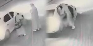 صادم.. تنكر بزي نسائي لخطف مسنة في سيدي بنور (فيديو)