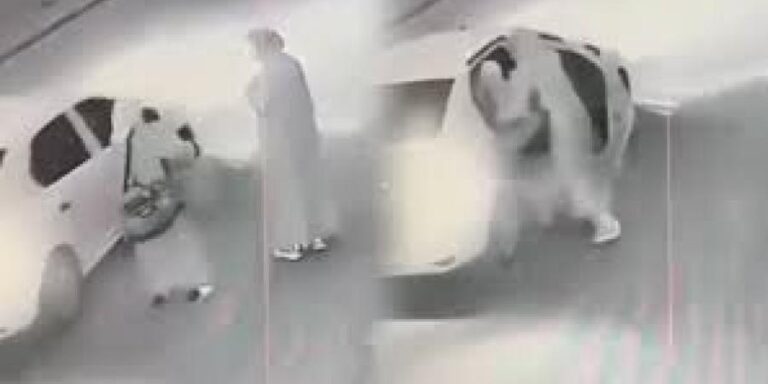 صادم.. تنكر بزي نسائي لخطف مسنة في سيدي بنور (فيديو)