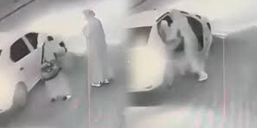 صادم.. تنكر بزي نسائي لخطف مسنة في سيدي بنور (فيديو)